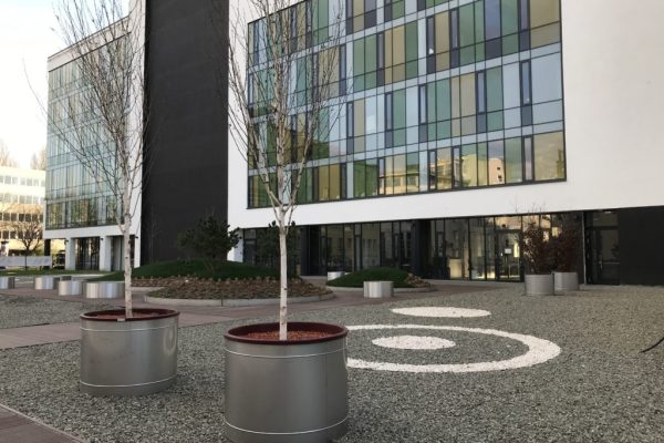 2019. bartók udvar (18)