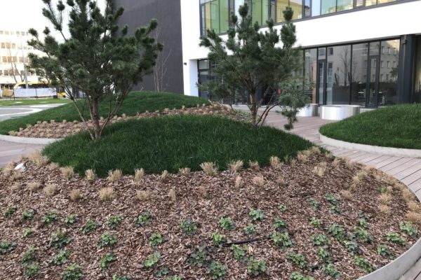 2019. bartók udvar (20)