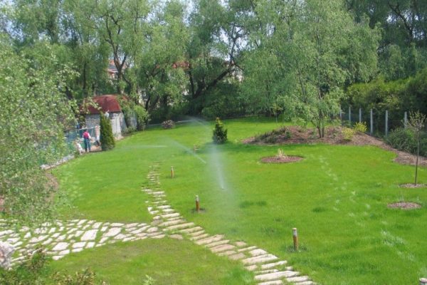 budagyep_img00008
