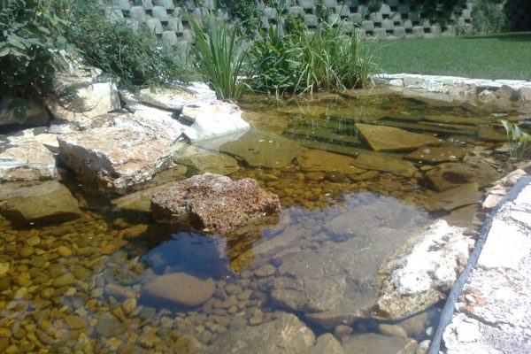 tó patakkal,csobogóval (1)