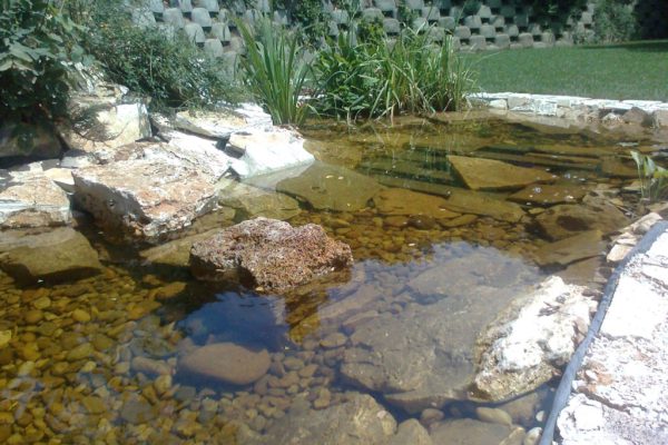 tó patakkal,csobogóval (1)